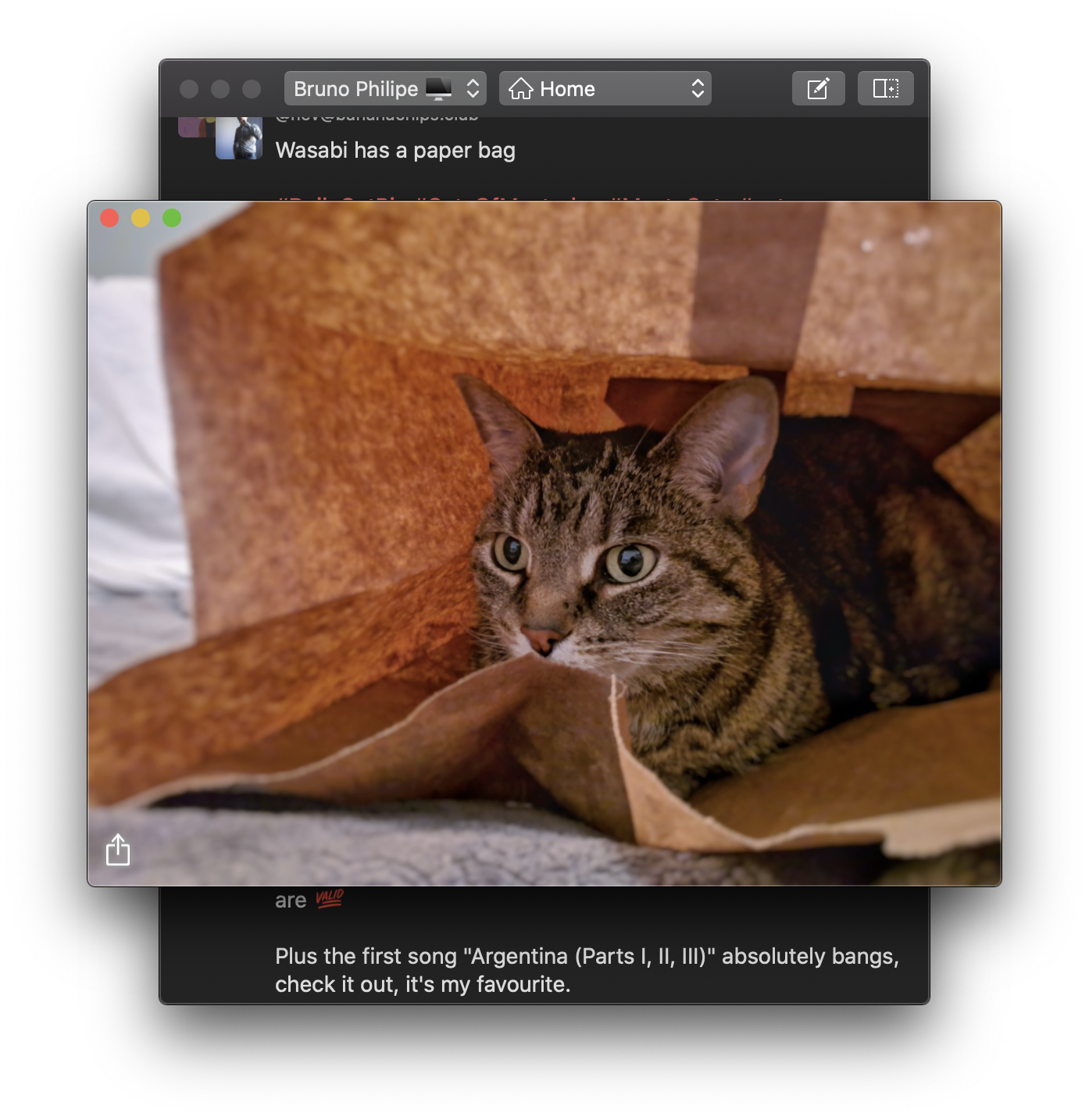mastodon client for mac